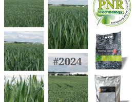 ÖKO kalászosok tél előtti megerősítése – Biokontroll szerlistán szereplő lombtrágya