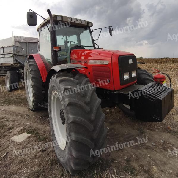 Massey Ferguson 4365 traktor eladó