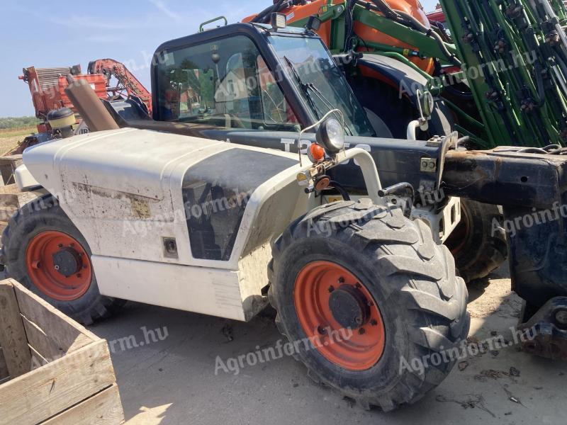 Bob Cat 2556