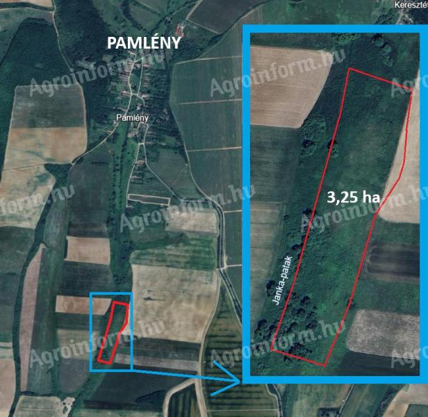 Pamlény 3,25 HA rét eladó