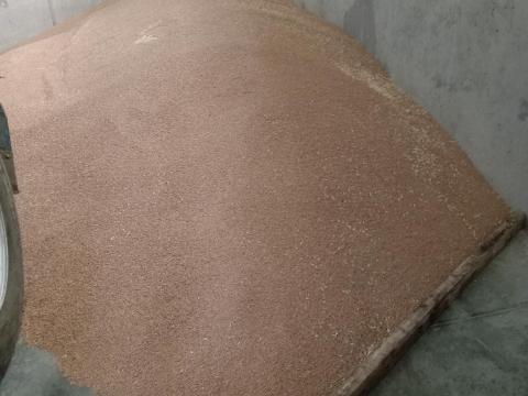 Búza eladó (kombájntiszta) Búza eladó (kombájntiszta)