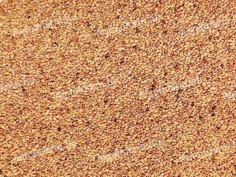 Lucerna vetőmag, heremag eladó Lucerna vetőmag, heremag eladó