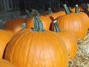 Halloween tök