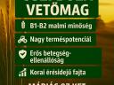 Falado és Sy Passion búza vetőmag eladó
