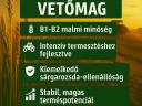 Falado és Sy Passion búza vetőmag eladó
