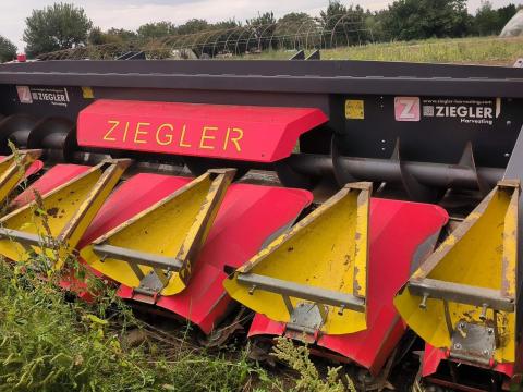 Eladó Ziegler CornChampion 6 soros zúzós kukorica adapter