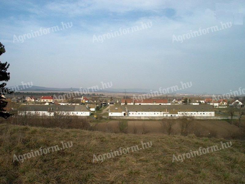 Veszprém-Jutason 1000 és 500 m²-es épületek zárt telephelyen kiadók