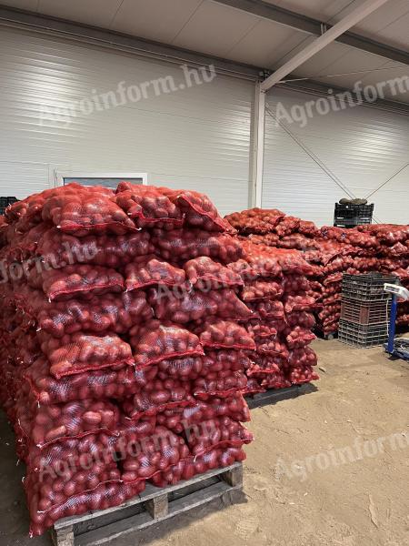 Eladó burgonya termelőtől – Esme és Bellarosa fajták,  15 kg-os zsákban