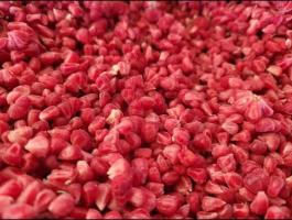 Fagyasztott málna eladó – gríz és gurulós kiszerelésben