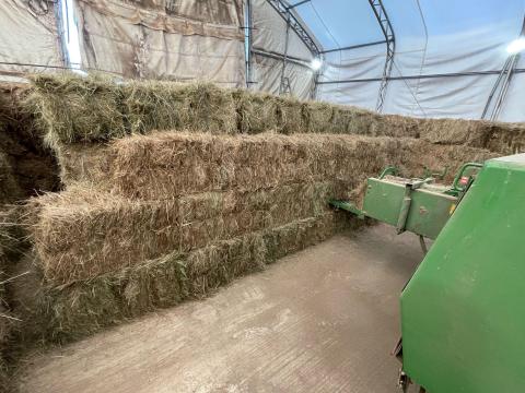 Kisbálás széna Kisbálás széna