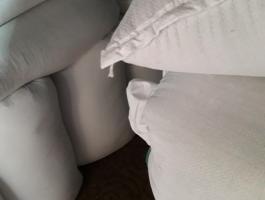 Tisztított lucernamag Szegeden eladó