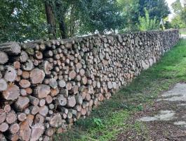 Száraz tűzifa eladó – vegyes és akác tűzifa
