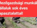 Fóliasátor és üvegházi munkák vállalása