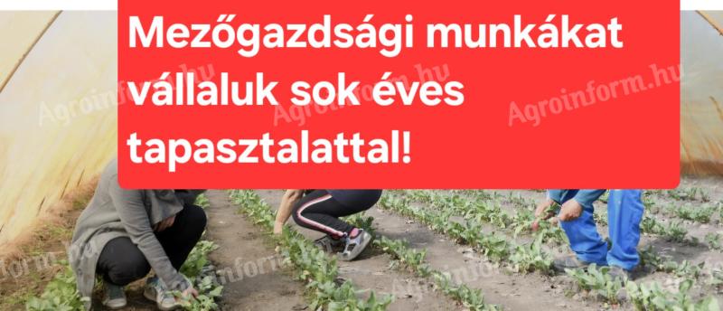 Fóliasátor és üvegházi munkák vállalása