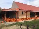 Halloween tök eladó