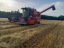 Massey Ferguson MF 30 kombájn 