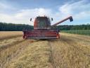 Massey Ferguson MF 30 kombájn 