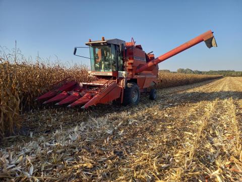 Massey Ferguson MF 30 kombájn eladó Massey Ferguson MF 30 kombájn eladó