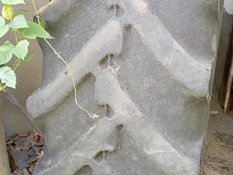 Használt traktor gumiabroncs eladó Használt traktor gumiabroncs eladó