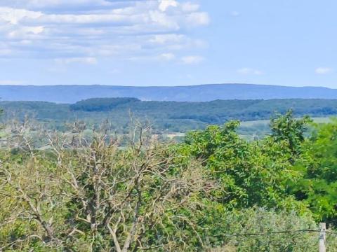 Eladó gazdasági épület a Balatontól 10 percre Eladó gazdasági épület a Balatontól 10 percre