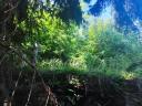 Eladó telek pincével, 10 percre a Balatontól