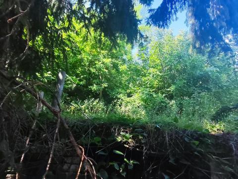 Eladó telek pincével, 10 percre a Balatontól Eladó telek pincével, 10 percre a Balatontól