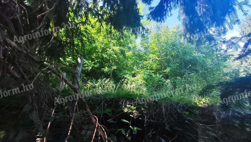 Eladó telek pincével, 10 percre a Balatontól