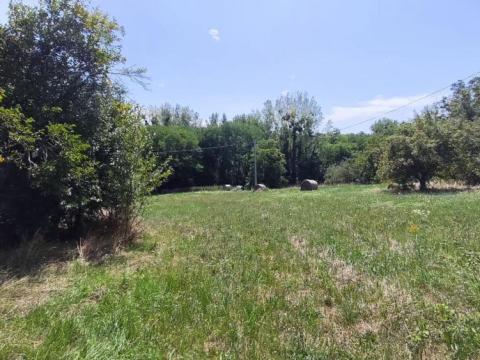 Balaton közelében eladó, több mint 1 hektáros terület pincével Balaton közelében eladó, több mint 1 hektáros terület pincével