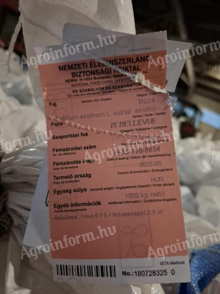 IS Belleuve őszi búza vetőmag eladó