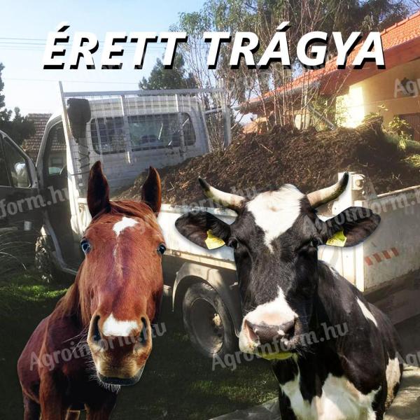 Érett trágya rendelés Pest megyei kiskertekbe