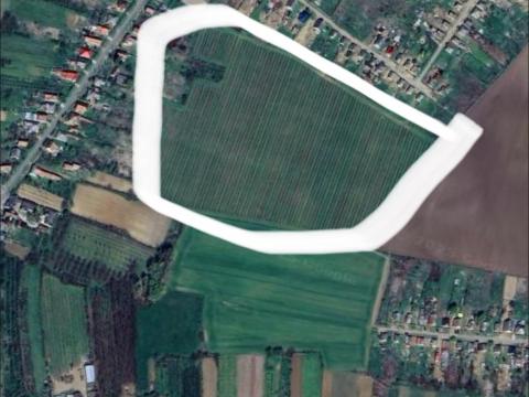M9 almaültetvény eladó M9 almaültetvény eladó