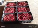 Fűszerpaprika eladó