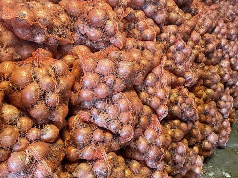 Vöröshagyma termelőtől eladó