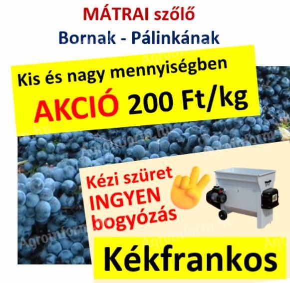 Kékfrankos szőlő kis és nagy mennyiségben,  ingyen bogyózva eladó Abasáron