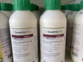 Quadris max 1l