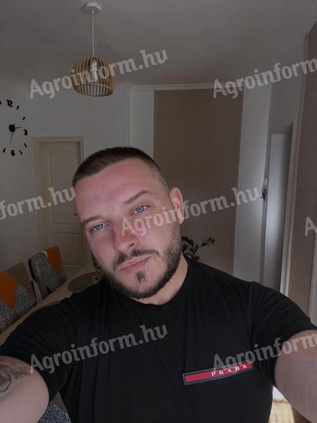 Traktoros munkát keresek!