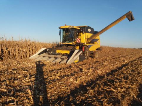 OptiCorn 676CS kukoricaadapter New Holland adaptációval OptiCorn 676CS kukoricaadapter New Holland adaptációval