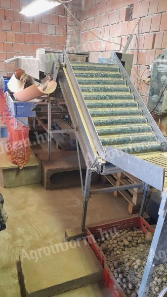 Burgonya és paradicsom válogató gép eladó