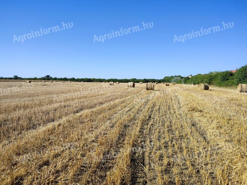 Kiszomboron több szántóföld, termőföld eladó