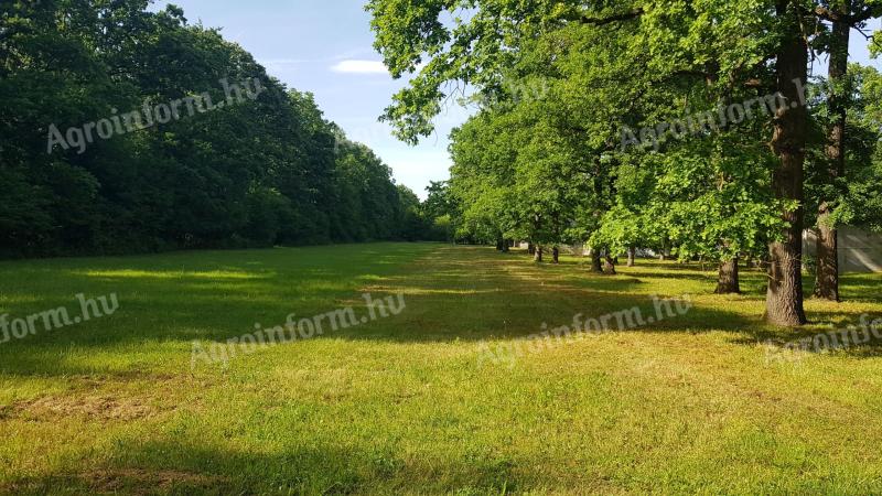 Turisztikai övezet 10% beépíthetőség,  50-100 éves tölgyfás,  80.000 m2