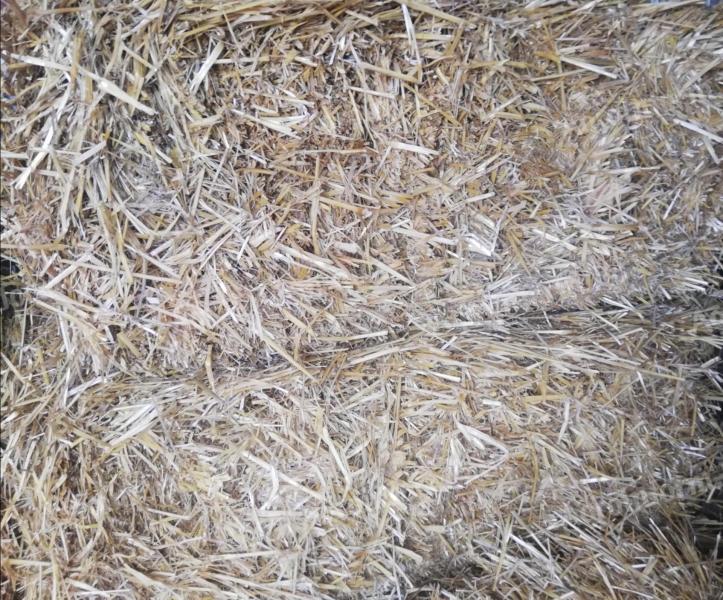 Széna és szalma kis kockabálák eladók