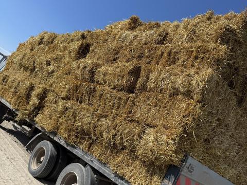 Szalma Kis kockabála Szalma Kis kockabála