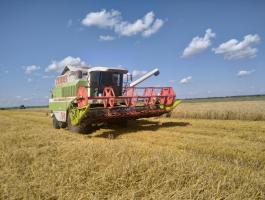 Claas Mega 204 eladó