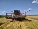 Claas Mega 204 eladó