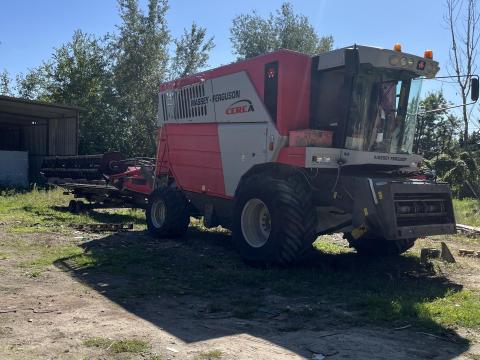 Massey Ferguson 7274 Cerea kombájn eladó Massey Ferguson 7274 Cerea kombájn eladó