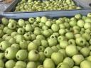 Golden alma eladó nagy tételben, kiváló minőségben
