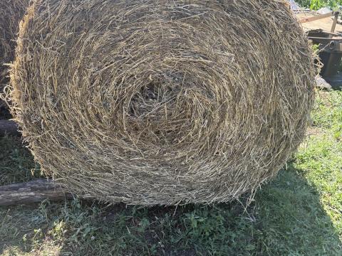 Eladó lucerna széna