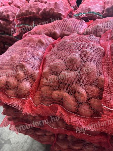 Bellarosa burgonya eladó Érden – friss burgonya kedvező áron
