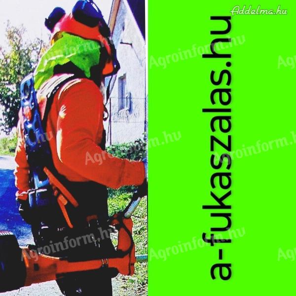 Fűkaszálás-Bozótirtás