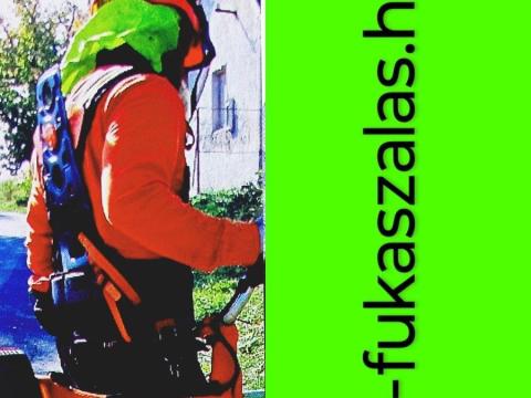 Fűkaszálás-Bozótirtás Fűkaszálás-Bozótirtás